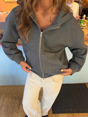 ASH SCUBA ZIP HOODIE - GREY