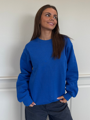 FRUIT SWEATSHIRT - BLÅ