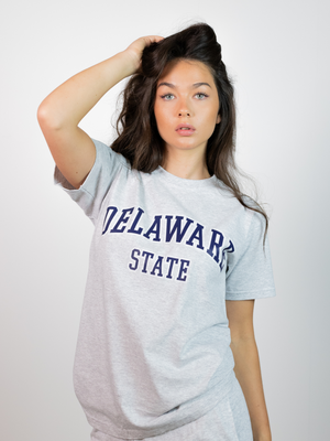 DELAWARE TEE - GRAY