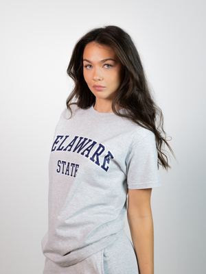 DELAWARE TEE - GRAY