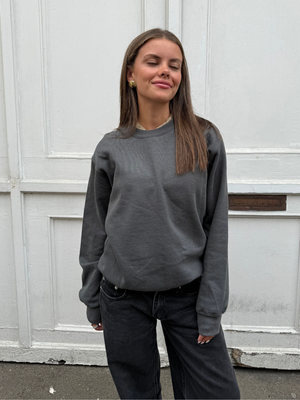 FRUIT SWEATSHIRT - MØRK GRÅ