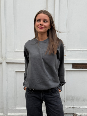 FRUIT SWEATSHIRT - MØRK GRÅ