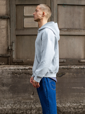 ASH SCUBA ZIP HOODIE - GREY